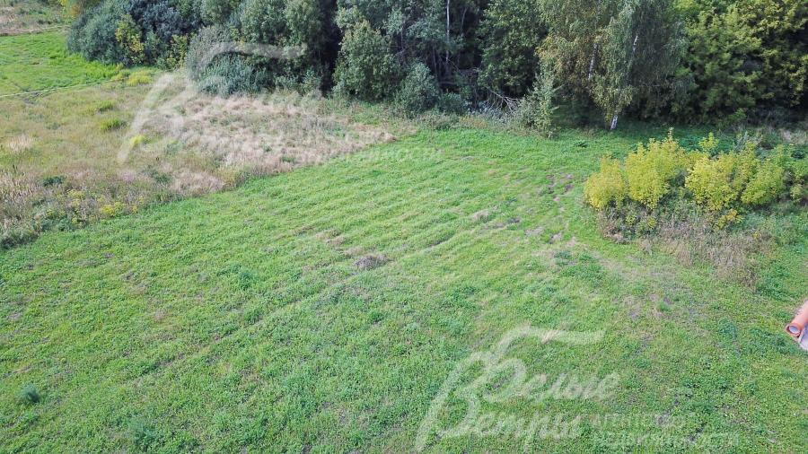 Участок граничит с лесом