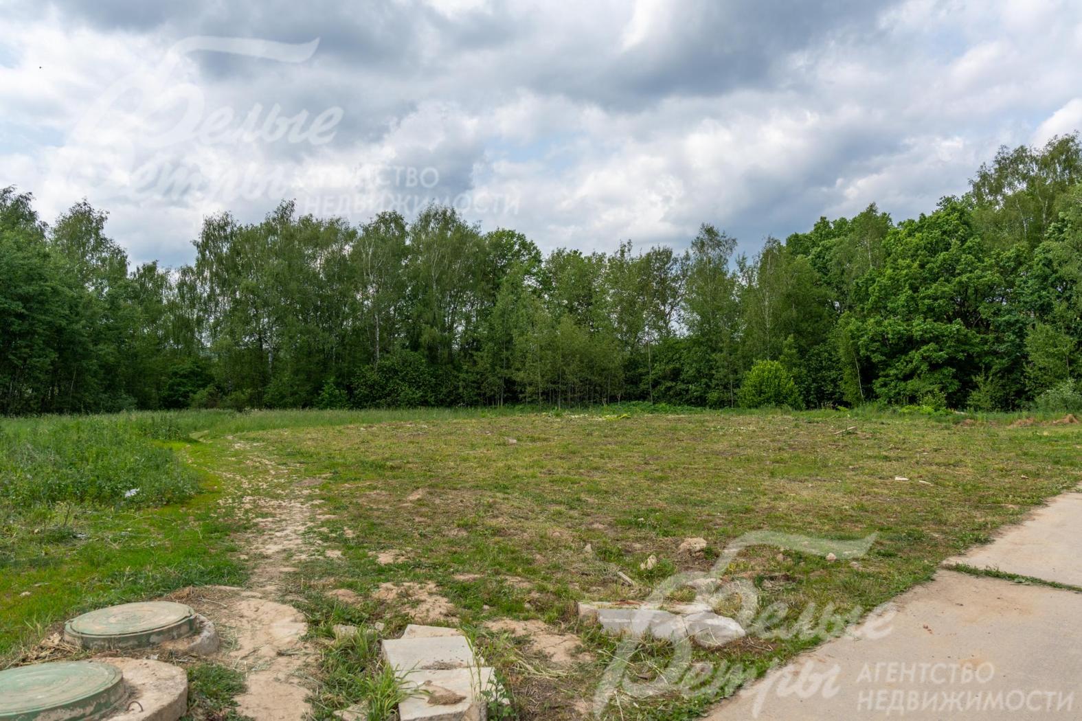 Рядом с участком - лес