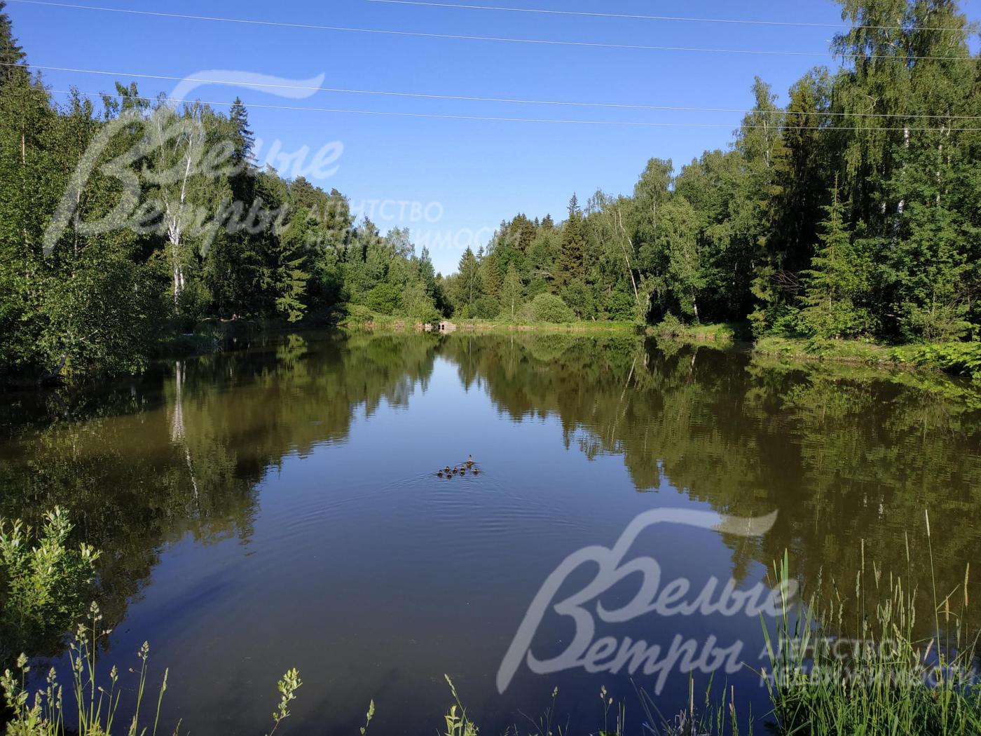 Озеро в лесу в 100м от поселка