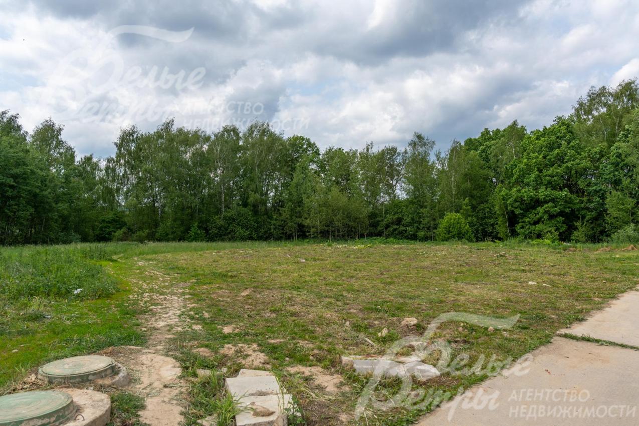 Рядом с участком - лес