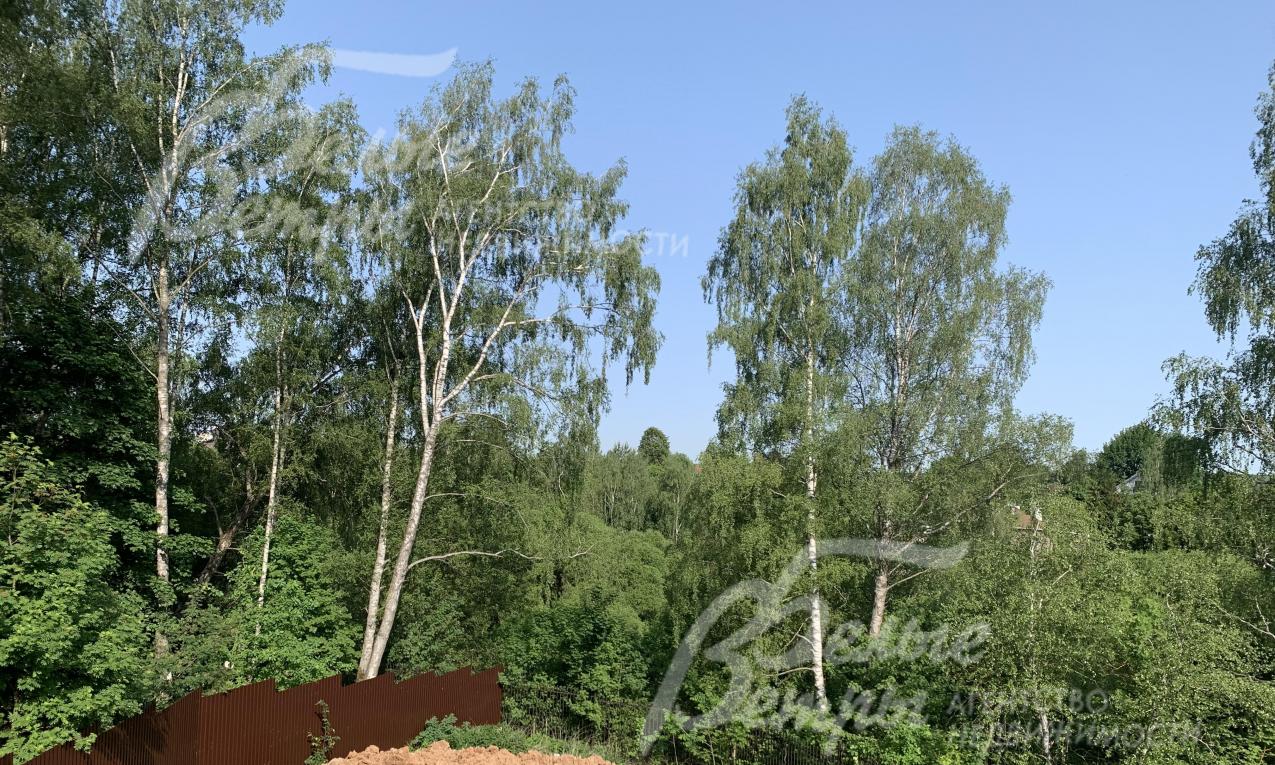 Вид из окна 1этажа на лес