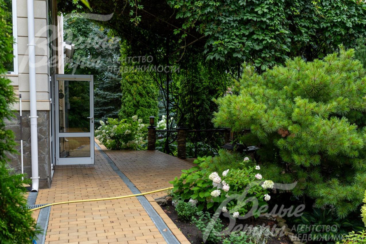 У входа в дом много зелени, вход - под зелёным сводом