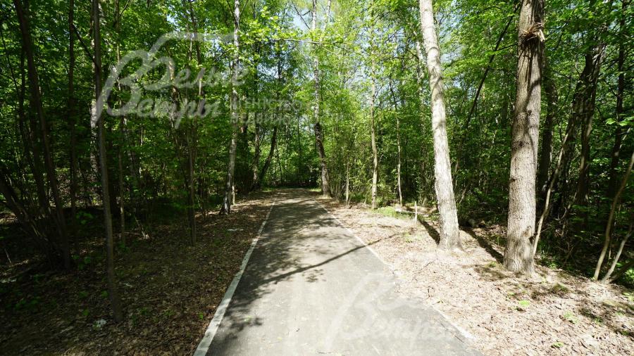 Организованы прогулочные дорожки в лесопарковой зоне