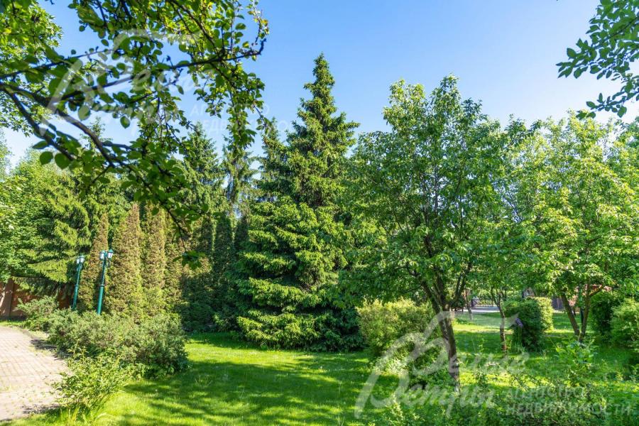 Просторный участок 15 соток со множеством взрослых деревьев и кустарников