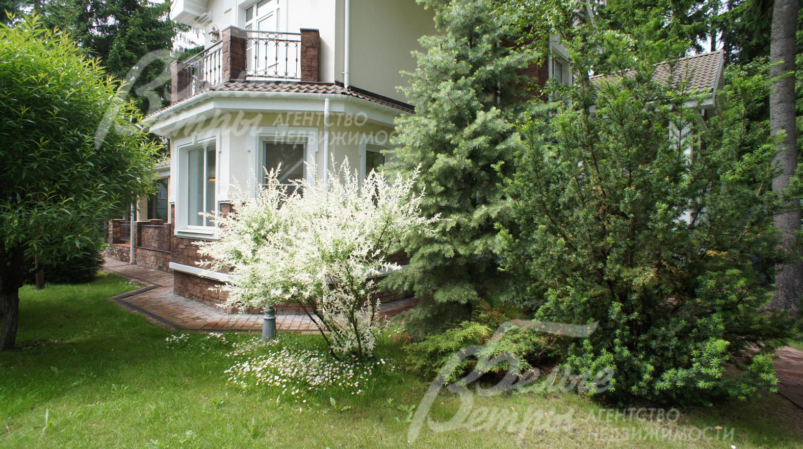 Участок 20 соток с лесными деревьями