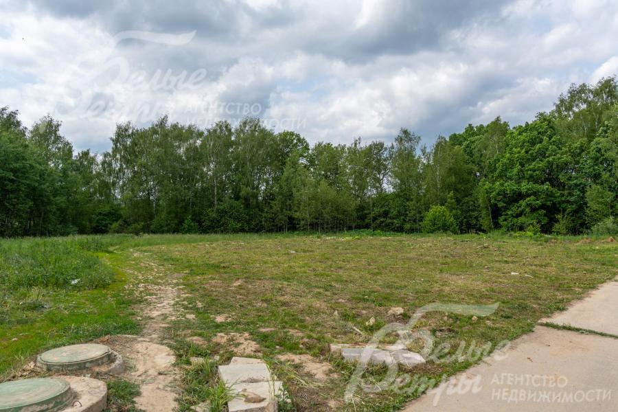 Рядом с участком - лес