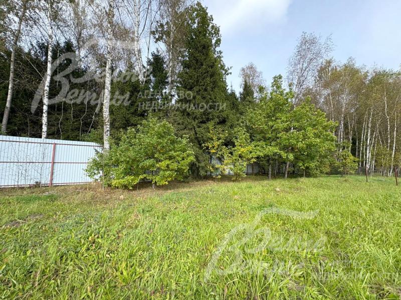 Участок граничит с лесом, находится в конце коттеджного посёлке, в его верхней точке