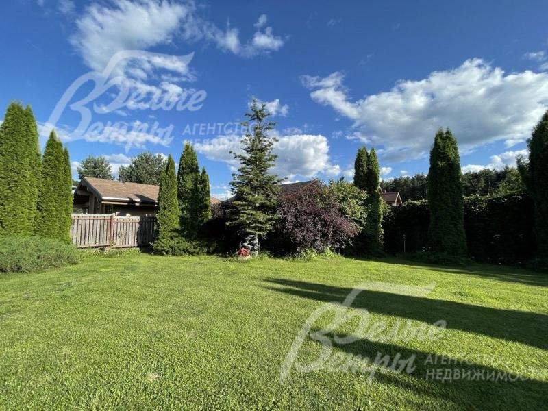 На участке взрослые туи и можжевельники.