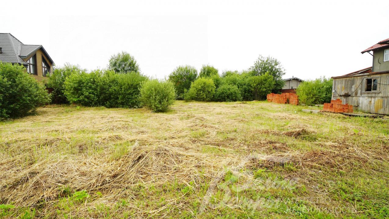 Участок рядом с лесом