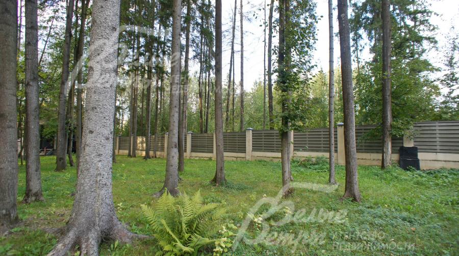 Роскошный лесной участок 30 соток