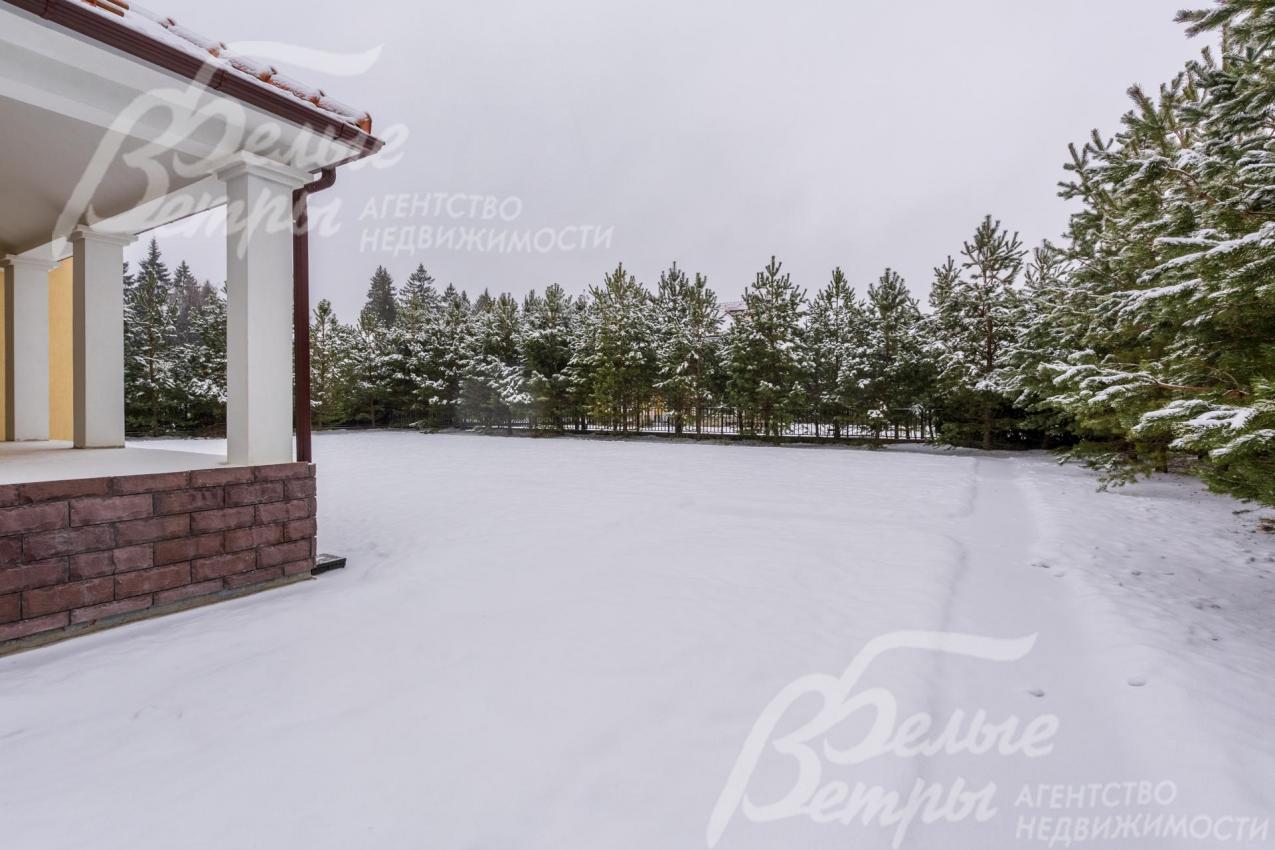 Высажены сосны по периметру около 90 шт.