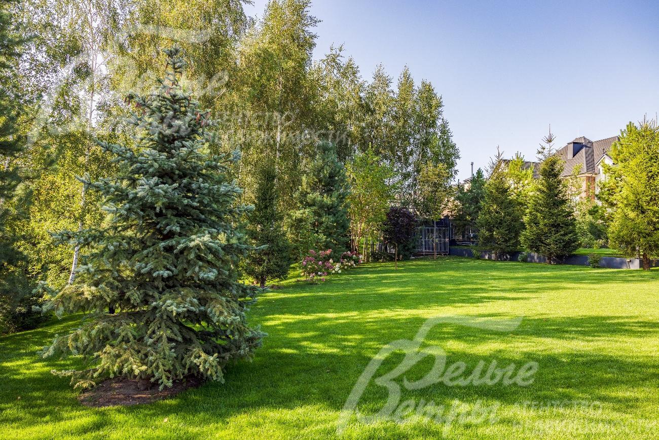 На участке ландшафтный дизайн, множество взрослых деревьев.