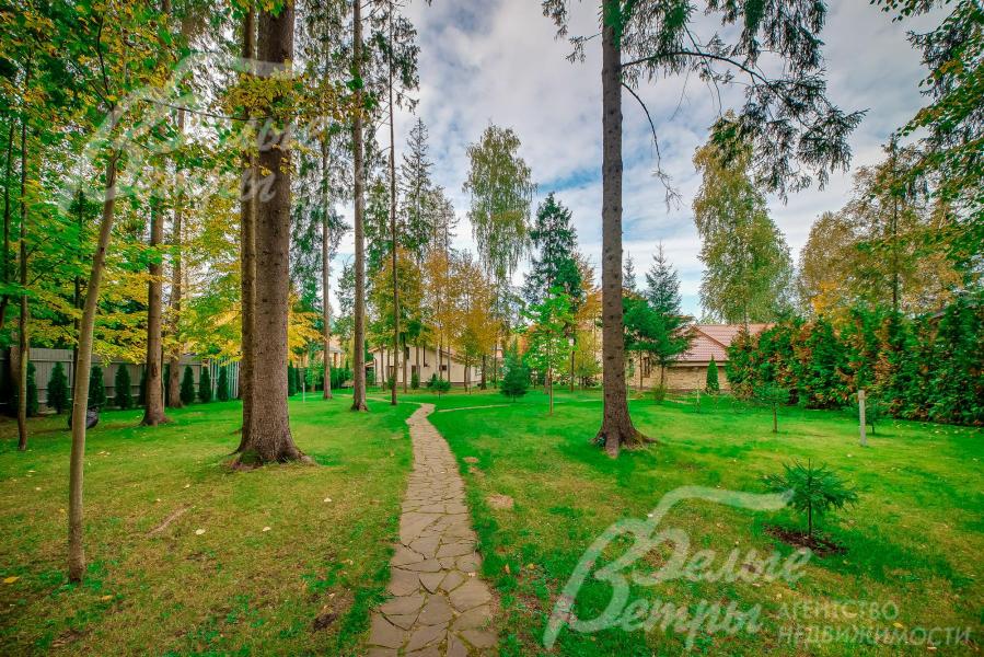 Организованы дорожки