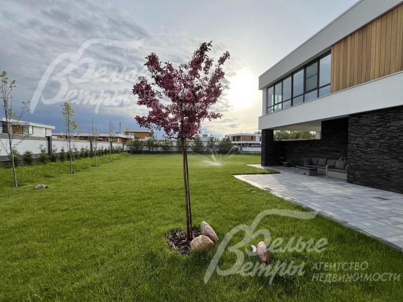 Высажено около 40 деревьев, 30 туй на участке 16 соток