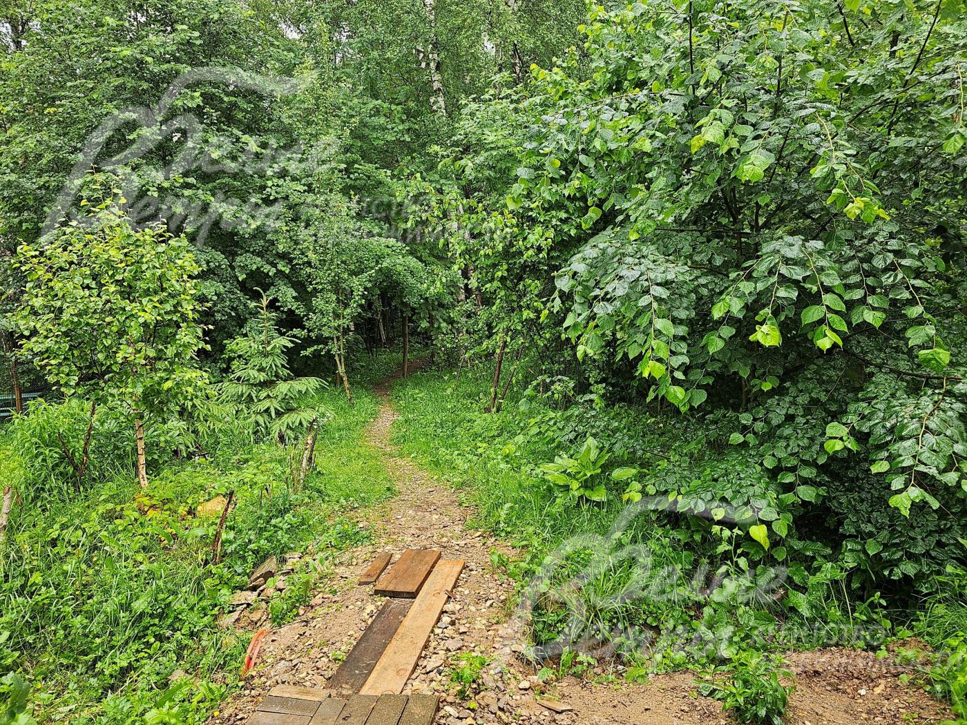 Лесная тропинка, ведущая к остановке общественного транспорта. 