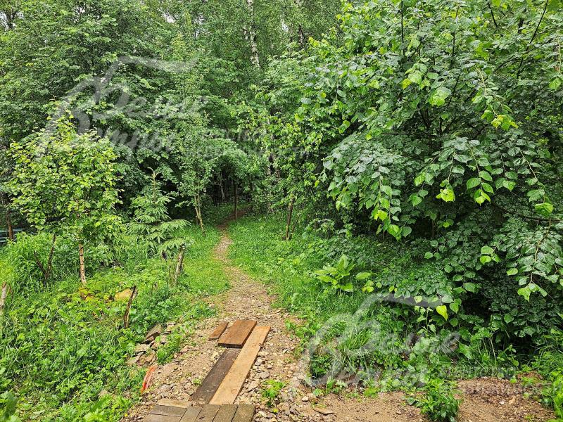 Лесная тропинка, ведущая к остановке общественного транспорта. 