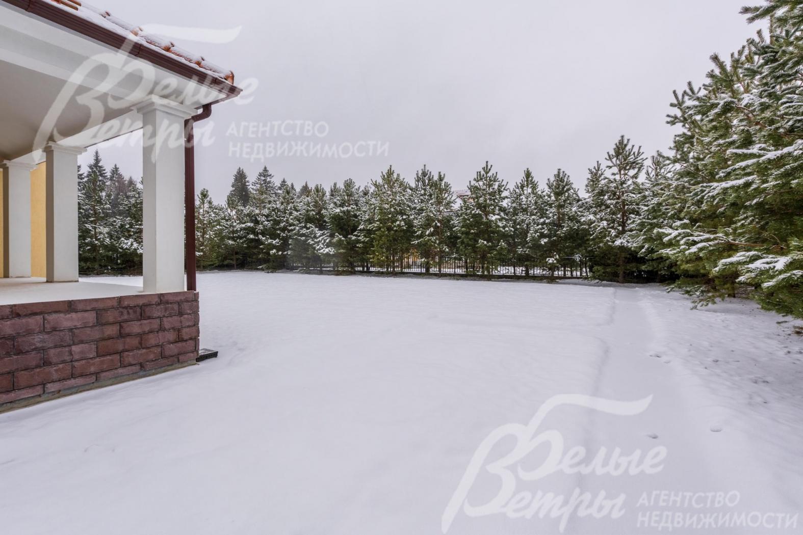 Высажены сосны по периметру около 90 шт.